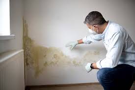 Best HVAC Mold Inspection and Cleaning  in St Clair, PA